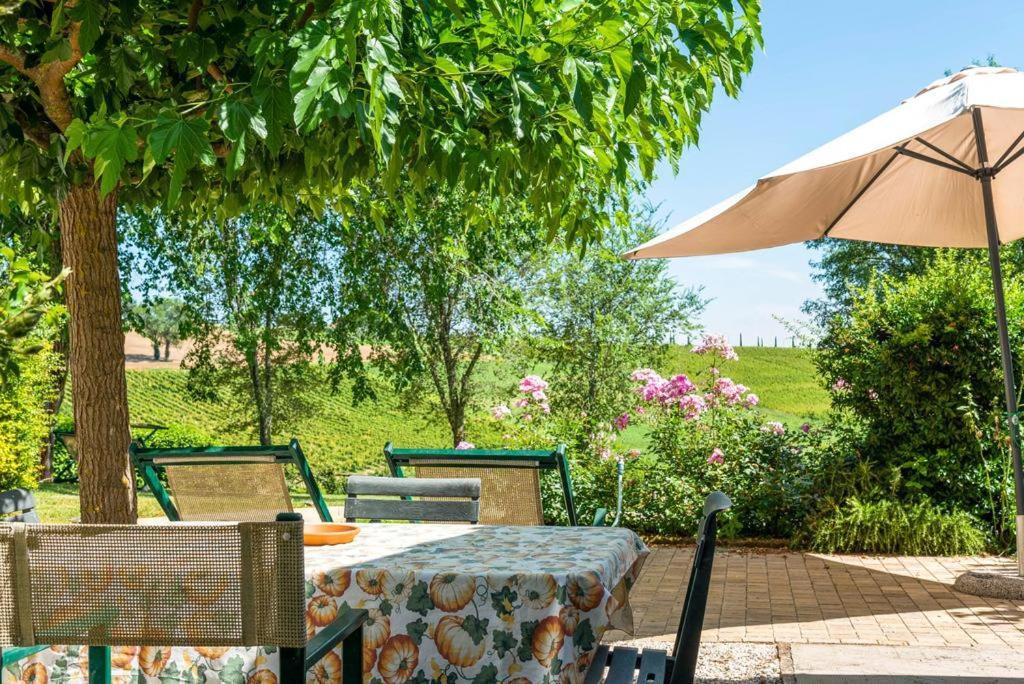 Vigna Sant' Amico Country House Morro d'Alba Exterior photo