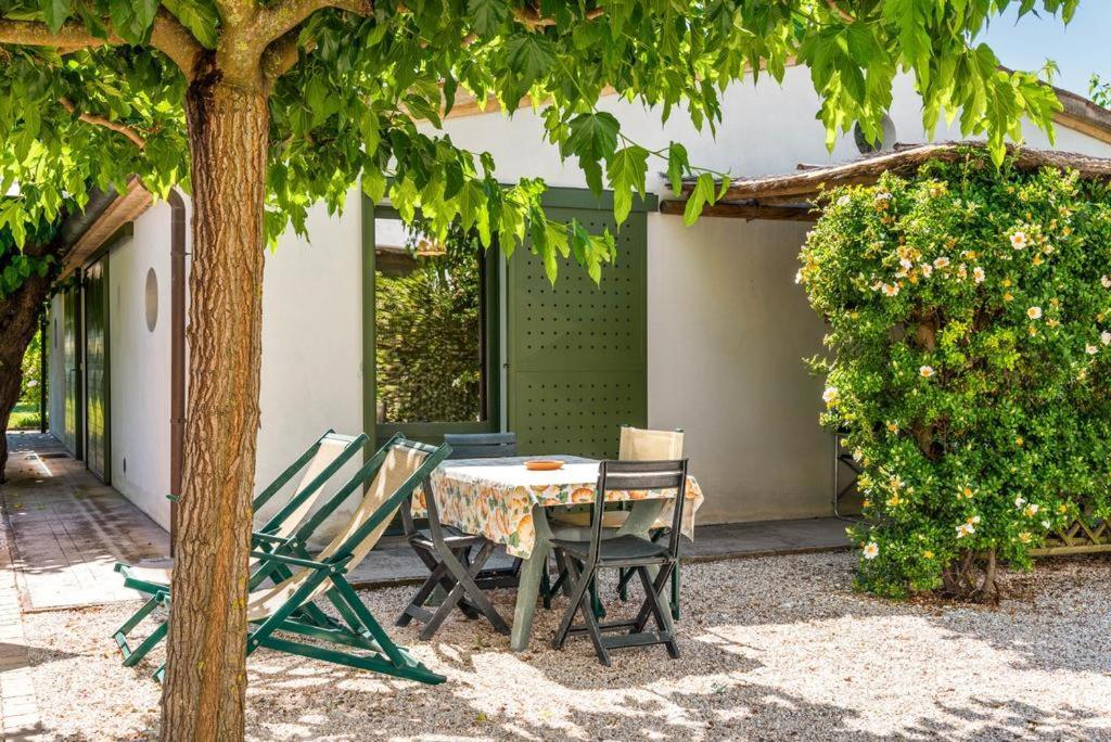Vigna Sant' Amico Country House Morro d'Alba Exterior photo