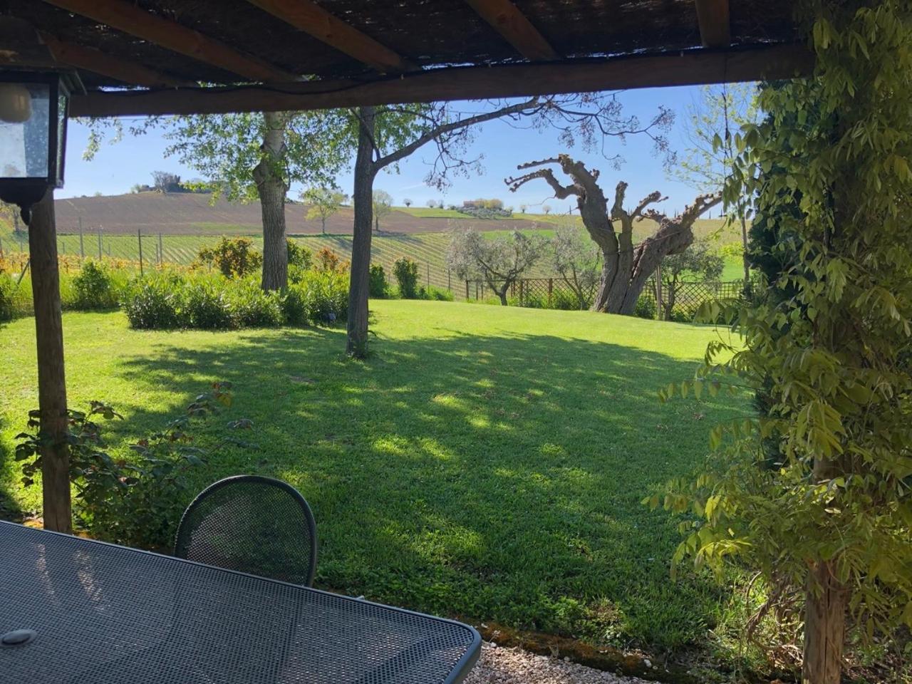 Vigna Sant' Amico Country House Morro d'Alba Exterior photo