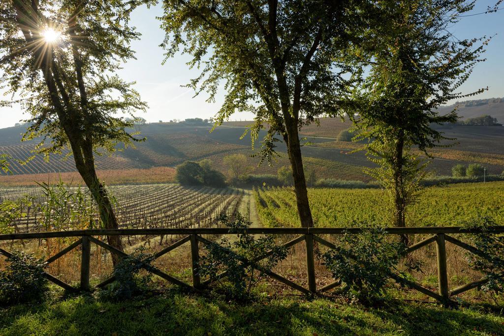 Vigna Sant' Amico Country House Morro d'Alba Exterior photo