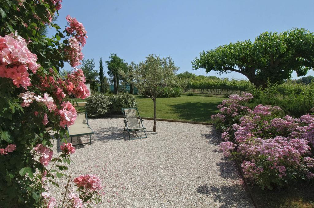 Vigna Sant' Amico Country House Morro d'Alba Exterior photo