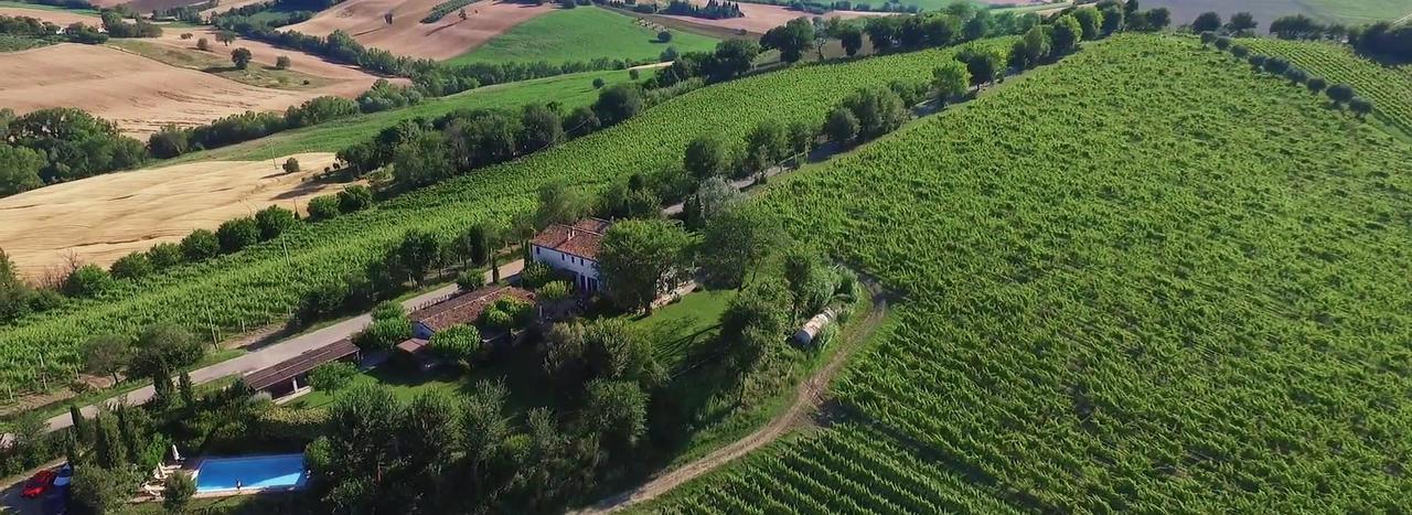 Vigna Sant' Amico Country House Morro d'Alba Exterior photo